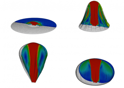Simulazione numerica dell'apertura di un airbag: esempio di interazione fluido-struttura