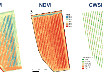 Rilievi UAV multispettrali e termici UAV su frutteto per la sperimentazione di irrigazione di precisione