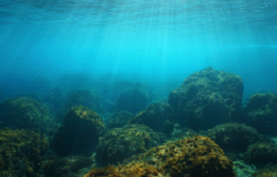 Due studi condotti nell’ambito del progetto DESARC-MARESANUS